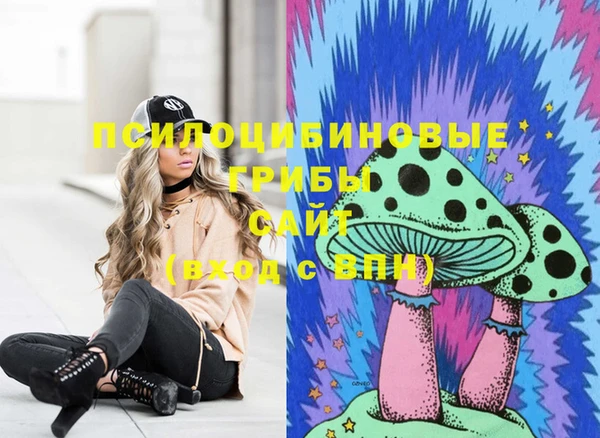 эйфоретик Беломорск